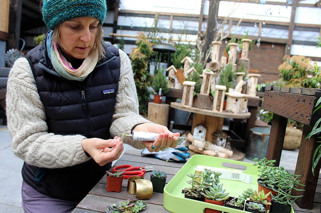 Photos by Patricia Guthrie/Whidbey News-Times                                Tobey Nelson glues tiny pieces of a succulent plant on a bundle on wire to create botanical jewelry. Nelson specializes in floral arrangements for special occasions and she teaches floral jewelry classes.