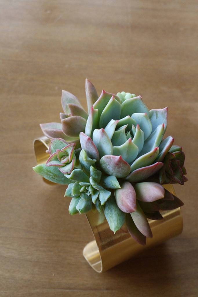 A finished botanical bracelet created by Tobey Nelson. Photo provided