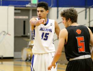 Falcon hoops team nets postseason honors