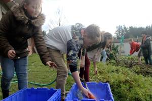 From seed to stomach: Farm team helps sprout integrated garden program
