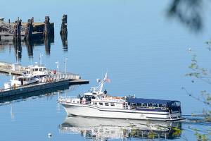 Time for whales and whale watching boats