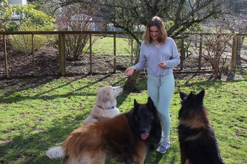 For her Waldorf 8th-grade project, Sage Hagopian learned how to help her adopted dog, Logan, overcome years of abuse. She teamed up with mentor Diane Garrod, founder and trainer of Canine Transformations Learning Center. Garrods Belgian Tervurens, Kody and Chance, also helped Logan, a English golden retriever, overcome his fear of other dogs.