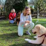 Trainer Diane Garrod taught Waldorf 8th-grader Sage Hagopian the power of positive reinforcement when helping dogs suffering from past trauma. Waldorf students are presenting their 8th-grade projects to the community this week.