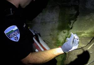 A Langley police officer holds a syringe he found. County officials recently sat down with attorneys to discuss the possibility of joining a multidistrict civil lawsuit against opioid manufacturers for the damage the opioid crisis has caused local communities. Whidbey News-Times file photo