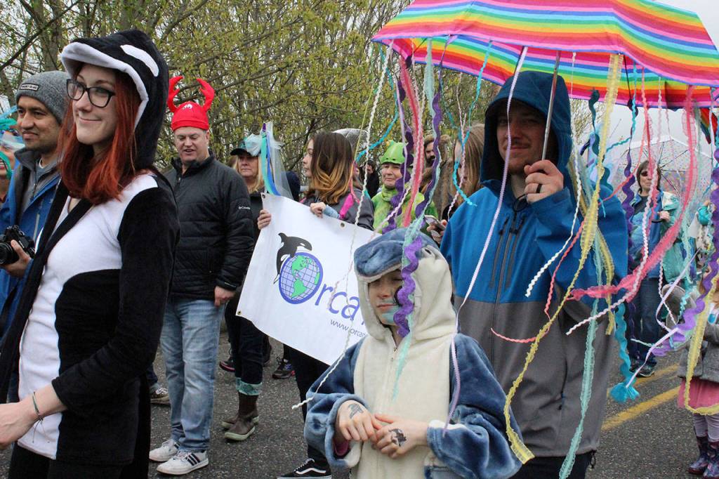 So many critters, so many colors under a gray sky day welcoming the gray whales.
