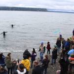 Three people in wet suits carried branches of blossoms out into deep water as the final welcoming tribute to the whales. The afternoon before, three gray whales scoured for ghost shrimp near this spot at high tide.