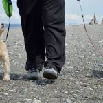 County plea: Don’t leave your doggie do behind