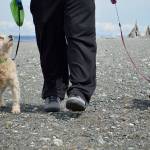 Erik King walks Cooper, left, and Stella on the beach at Long Point. County environmental health officials say one of the most simple things people can do to protect water quality is pick up and bag their dogs poop. Photo by Laura Guido/Whidbey News Group