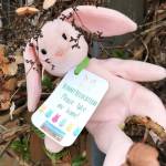 Wascally Wabbit a winner