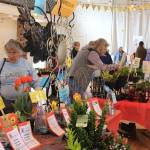South Whidbey Garden Club reported fabulous sales inside the Bayview Community Hall where it held an indoor plant sale for the first time.