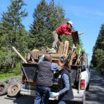 Volunteers working with South Whidbey Hearts & Hammers Saturday helped a longtime Freeland homeowner get rid of decades of yard debris and possessions ruined by water damage and rodents. Photo by Patricia Guthrie/Whidbey News Group