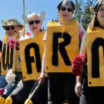 ‘Whidbees’ to swarm in protest