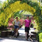 Tunnel vision: Time for ‘Golden chains’