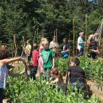 Homegrown ‘Frijole Friday’