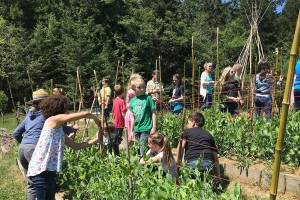 Homegrown ‘Frijole Friday’