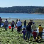 Sound Water clamming classes take place at Double Bluff beach and are popular with people of all ages. Photo provided