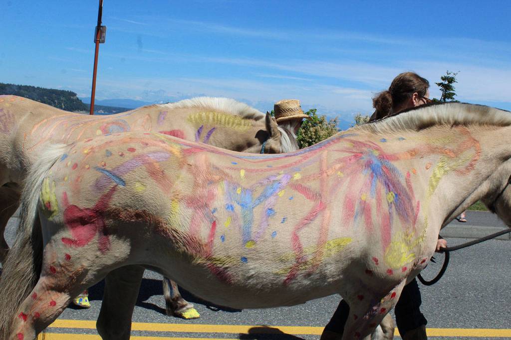 Even a horse of a different color  or two  joined the joyous procession down Cascade Avenue.