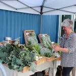 Judy Feldman sets up veggies for sale in front of the Island Athletic Center. Theyre grown at the Organic Farm School which has eight students this season.