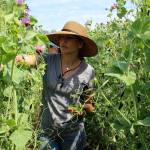 Growing new farmers at Maxwelton school