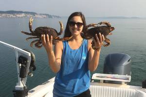 ‘Lost’ pots can deplete crab number
