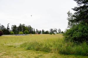 A new draft facilities master plan includes new department buildings on land recently purchased by the Island County. The plan is still in its early stages and designs for the new buildings likely wont be made until next year. Photo by Laura Guido/Whidbey News-Times