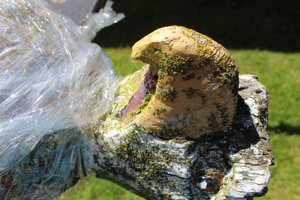 The poles original paint can still be seen on the head of the eagle that perches atop the 50-foot pole. Photo by Patricia Guthrie/Whidbey News Group