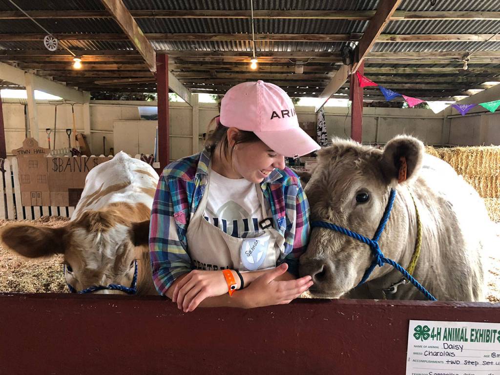Photo by Emily Gilbert/South Whidbey Record.                                Samantha Ollis, of Langley, with her cows Duke, left, and Daisy, which shes raised.