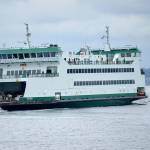 Lines from crab pots snarl ferries