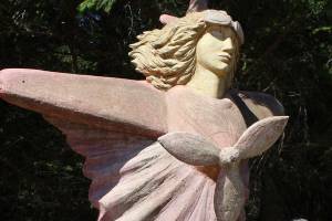 Amelia Earhart seen in South Whidbey woods