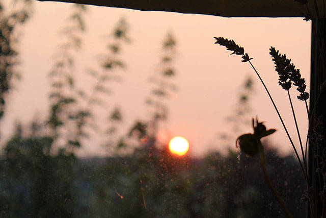Smoky, hazy skies continue to provide eerie, orange glows, such as this sunset over Holmes Harbor.