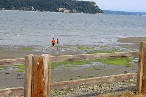 Park design reviews are positive