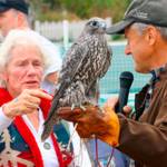 Raptors ready to roost at annual festival