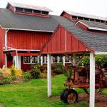 Fall festival returns to Greenbank Farm