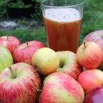 Gravenstein apples with a splash of Orcas pear juice combined for this fresh-from-the-press sweet juice.