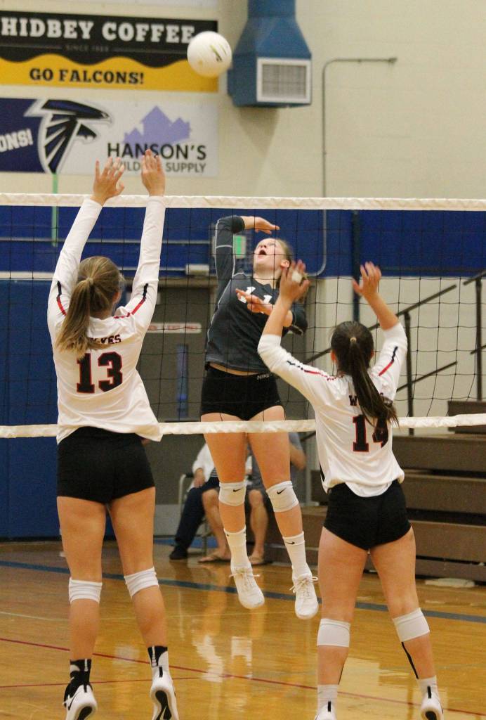The Falcons Emma Hodson (11) goes on the attack.(Photo by Jim Waller/South Whidbey Record)