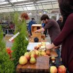 The cider press will be cranking again this Saturday for the 18th Annual Apple Day at Bayview Farm Garden. Admission free. Cider sold from 10 a.m. to 2 p.m. or as long as it takes to crush and juice 2,000 pounds of apples. (Photo provided)