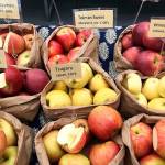 Learn and taste many varieties of apples grown across the state during Bayview Apple Day this Saturday. (Photo provided)