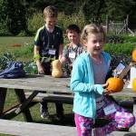 Pupils pick precious pumpkins for pies