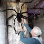 Volunteer Elaine Fielding of Coupeville hangs a spider.