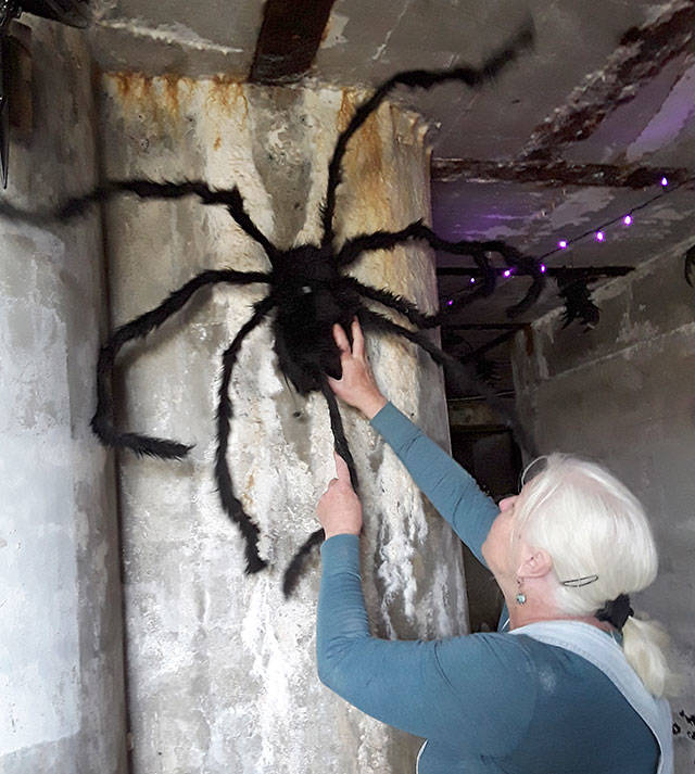 Volunteer Elaine Fielding of Coupeville hangs a spider.