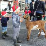 Goats and floats star in Langley ‘Holly Jolly Parade’