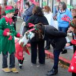A goat checks out the horns of a parade-goer who checks out the goats goatee. (Photo by Patricia Guthrie/Whidbey News Group)