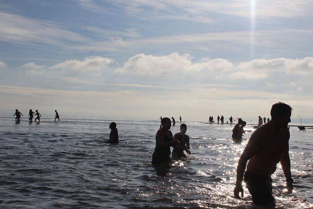 Sun beating down on New Years Day kept some Polar Bear plungers in the water longer than usual.