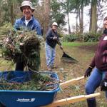 Friends of Whidbey State Parks volunteers Gary Ketcheson, left, Liz Ketcheson and Amy Bullis rake up branches at South Whidbey State Park. (Photo provided)