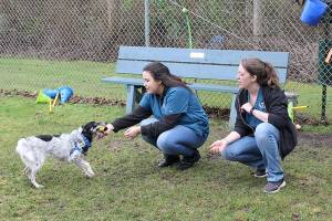 Support is great, but WAIF still has its critics