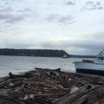 Mystery boat washes ashore on Sandy Point beach