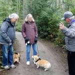 Parks commissioner Dennis Hunter, right, greets two frequent users of the trail system, Nancy and Bob Boyle and their Corgis, Willa and Pete. (Photo by Patricia Guthrie/Whidbey News Group)