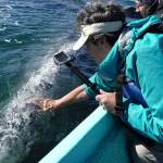 In touch with giants