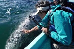 In touch with giants