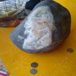 Do you see it? Found rock resembles image of George Washington